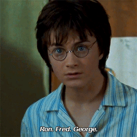 harrypotteronline:Chamber of Secrets // Order of The Phoenix.