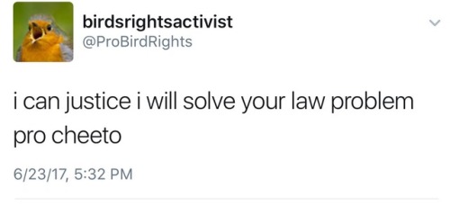 victuuriplease: Once again birds rights activist is like, the expression of my inner being