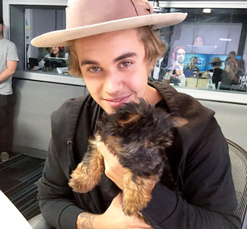 https://theraquelbieber.tumblr.com/post/115631737480
