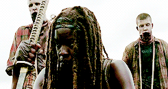 we are the walking dead