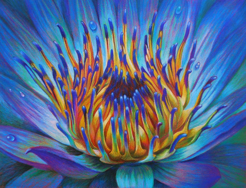 ollebosse:  Veronica Winters - Blue Lily (2010) 