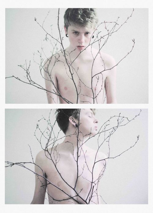 m0tte-cat:  seanenmiddleton:  Bones      (via TumbleOn)