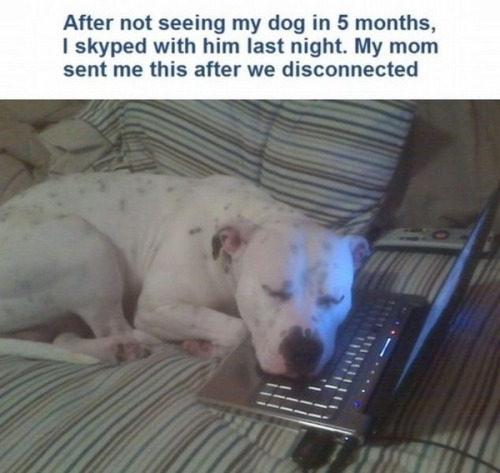 ungratefullittleshit:  Pictures That Will Make You Proud To Be A Human Being Again 