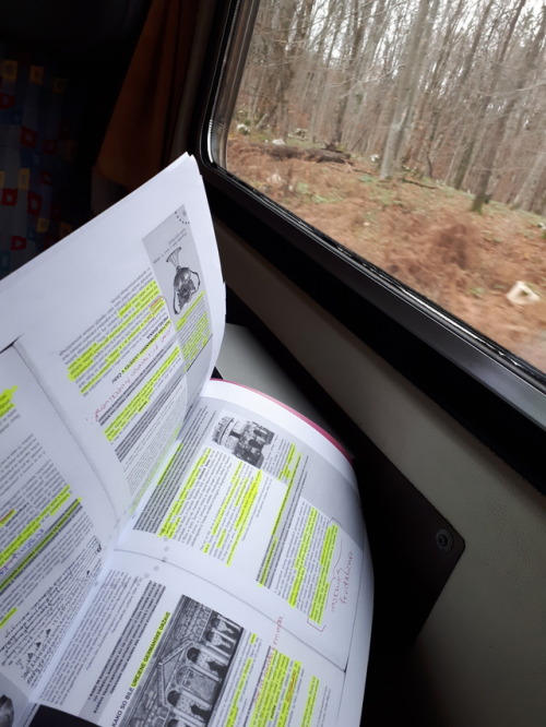 studeep: dreamy-blossom: November moodboard. Empty trains, coffee, poetry and highlighted textbooks,