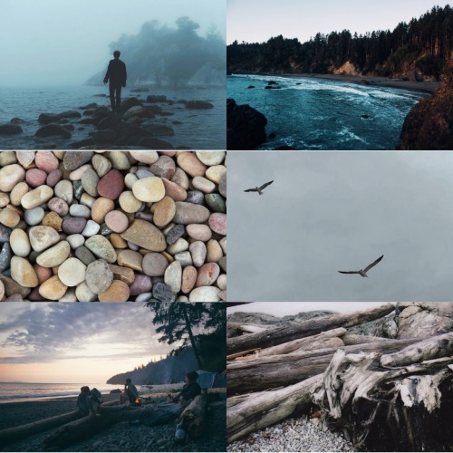 butterscotch-eyes:  I’d been to the beaches around La Push lots of times during my Forks summers wit