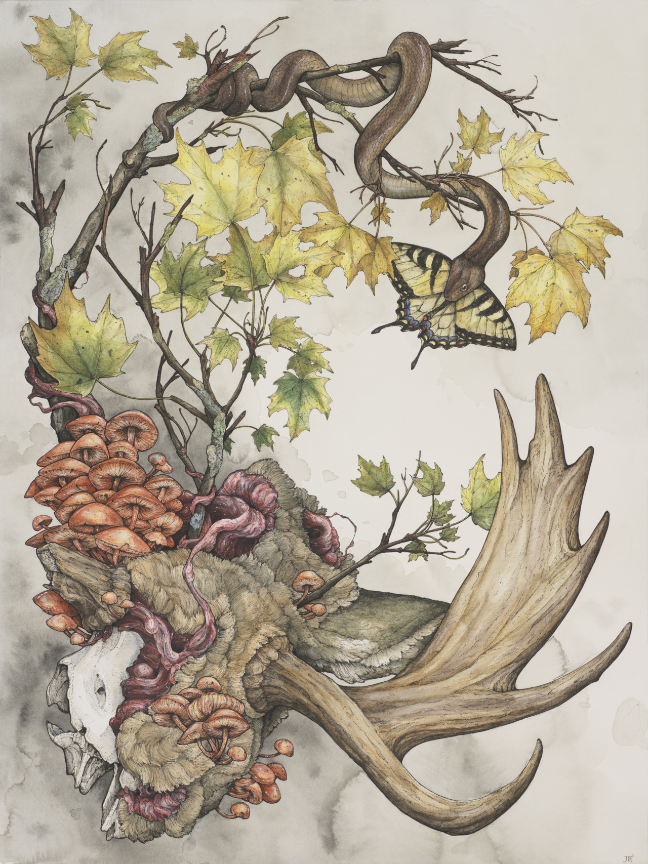 laurenmarx:  MOOSY MOOSE MOOSE!“Alces alces”, 2015, Ball point pen, Ink pencils,