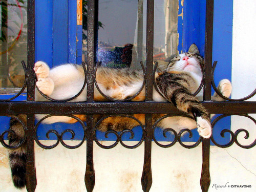 zzzz&hellip; Greece  (by Pixeweb)