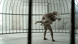 spacecarols:  Sia - Elastic Heart feat. Shia LaBeouf &amp; Maddie Ziegler [ x