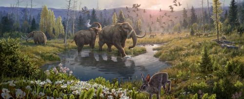 eartharchives:  Scientists reconstructed a 2 million-year-old ecosystem from ancient DNASedimentary deposits from the permafrost of Greenland contained recoverable environmental DNA dating back to around 2 million years ago. That’s 1 million years older