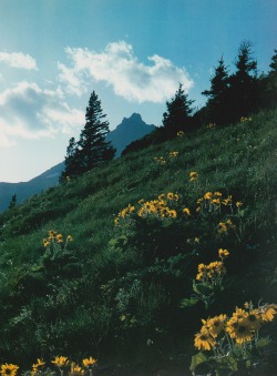 70s-flowerchild:retrospectia:Mountains of