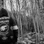 blackwolfdirective