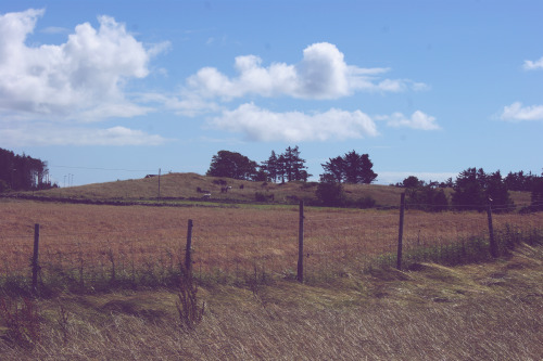 thenorwegiancurator:Trip to Tungenes Lighthouse // Summer 2020