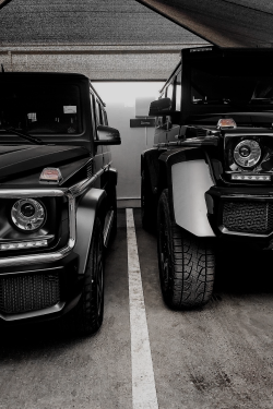 viciousclass:  Left Or Right? | cXs
