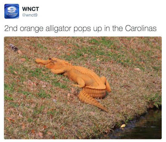tastefullyoffensive:  Deal with it. (via 92BYC / wnct9)