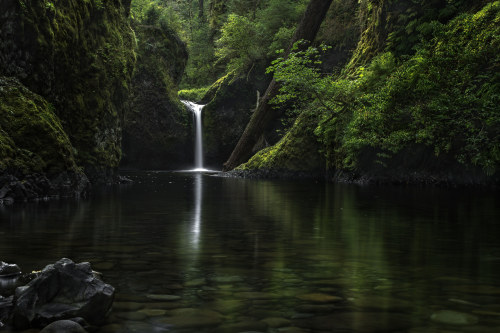 earthporn-org:Punch Bowl Falls, Oregon  Photographed by Stokes RX