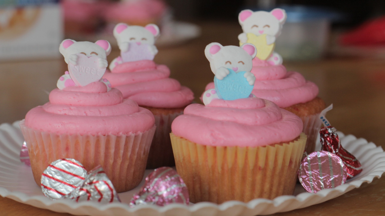 ameandrain:  made some cute bear valentines day cupcakes today! hope you are all