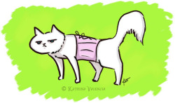Corsetdiary:  “Lol  So This Is My Newest Fascination! Putting Cats In Corsets!…I