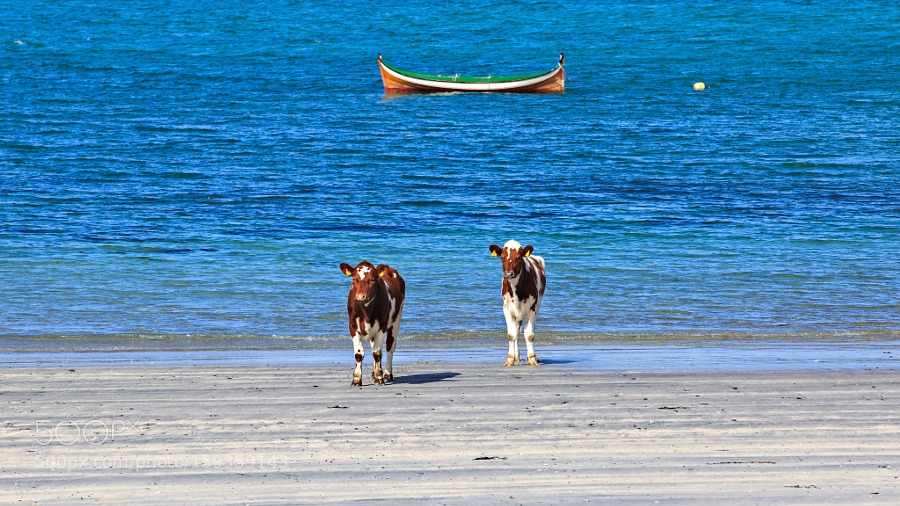 socialfoto:  A Walk At The Beach by bs500px #SocialFoto 