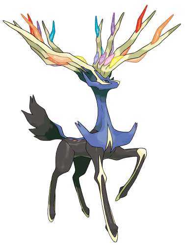 THE XY TRUTH