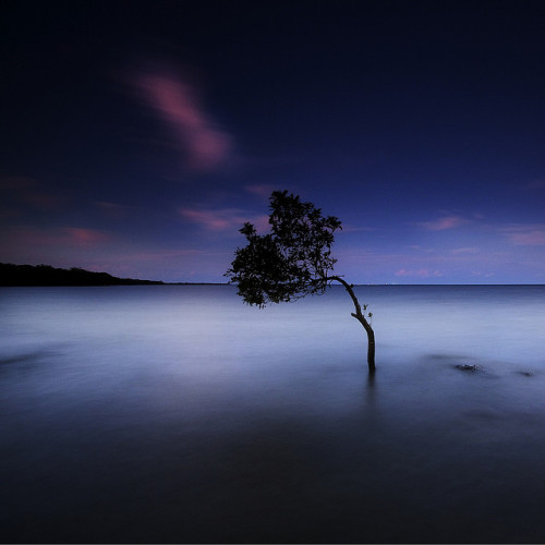 Silent Night by Garry - www.visionandimagination.com on Flickr.