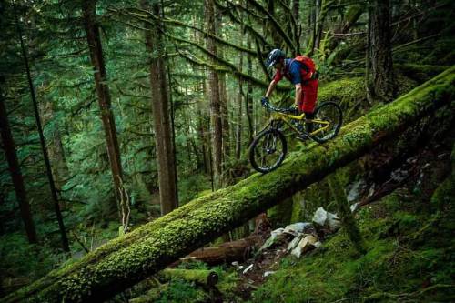 Rémy Métailler riding on trees in #Squamish. by Nathan Hughes . . . #COMMENCAL #RaceFace #CamelBak 