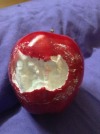 ihategardenfruit:
“ shjtty:
“ my stepsister thought this apple was real and she took a few bites before realizing it was fake
”
A FEW BITES
”