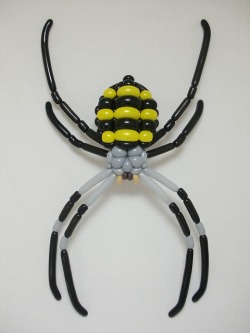 isopresso: コガネグモ spider (Argiope