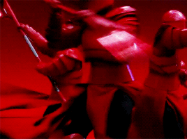 rogueone:  this guard was trained in the ancient fighting style of “waiting for your cue” 