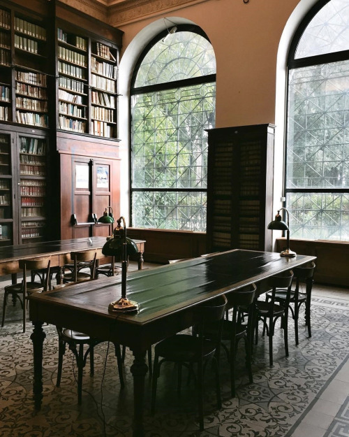 sourrcherries:Library of the Società Geografica Italiana, Rome.