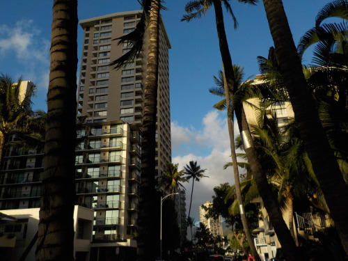 kuhio ave