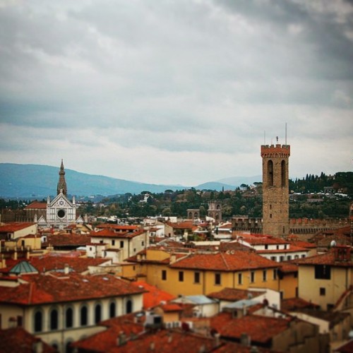 Firenze #firenze #florence #santacroce #bargello