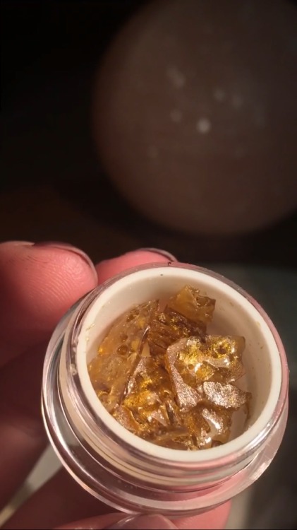 horrordive:  Grapefruit shatter 💥