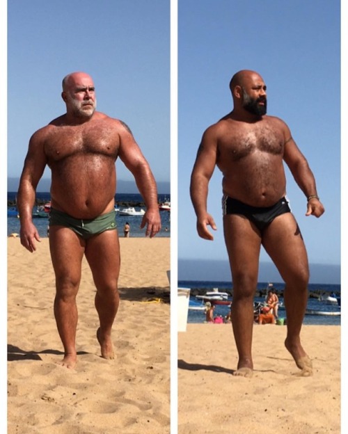 haraemon: hairy-bigbug: 01.20.2018  Saturday’s Speedos - Beef of Bearfection - カッコいいおデブ親父ばっかりだね