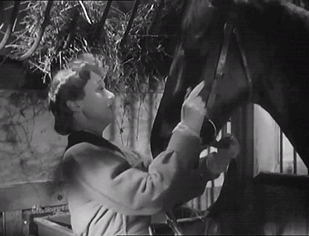 Something About Edwige Petting A Horse Just Has Me In Another Dimension