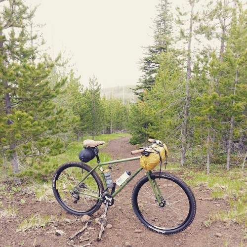 breadwinnercycles: Got to shred some single track today on our #7bikes7wonders #Komorebi bikepacking