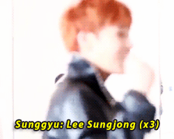 y3ol:  leader guy cheering on maknae again 
