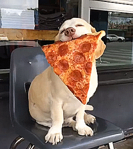 True Love