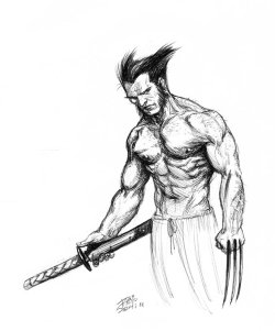 xombiedirge:  Wolverine by Fabio Sechi / Facebook