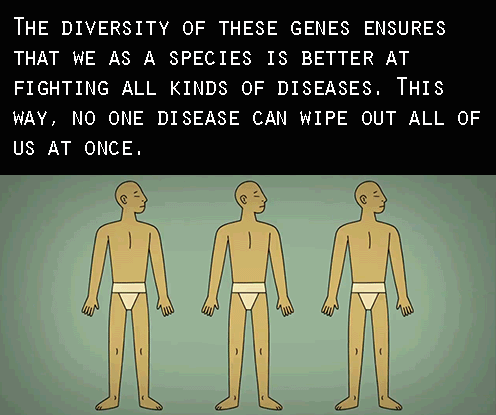 tedx:At TEDxYouth@Manchester, genetics researcher Dan Davis introduces the audience to compatibility