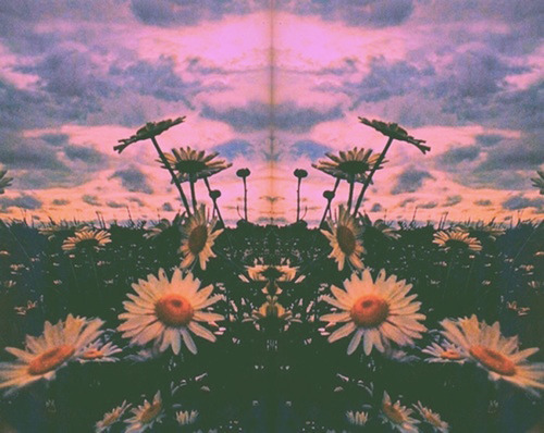 Imgfave on We Heart It http://weheartit.com/entry/91040300/via/MissSydners