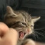liltrapy