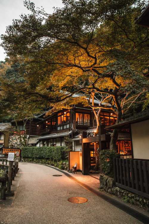 Friday 3rd November 2017. 16:30 Minoo Osaka.I couldn’t reach the waterfall today but one of the hiki