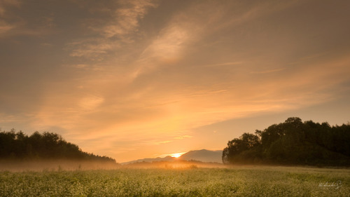 [ Morning Glow ] 50mm, f/14, ISO 100, 1/6sec Taken at Nara, Japan. 奈良県桜井市にて。