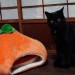 straycatj:皆しゃん　こふの　はろうぃんまじっくの　おじかんでちHey hey everyone, it’s Kofu’s Halloween Magic time!じゃあ…かぼちゃさんにのるでち？Ok…Kofu am going to sit on the pumpkin…3.2.1…Ｊせんせが出てきたでちー！せいこうでち！Wow!