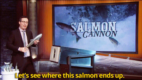 askthecookies:lloxie:k-lionheart:befitandchase:sandandglass:John Oliver’s salmon cannon.OMG! I JUST DISCOVERED THE VIDEO!BeautifulAh yes, this classic bit XDxD!