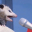 ogpossum