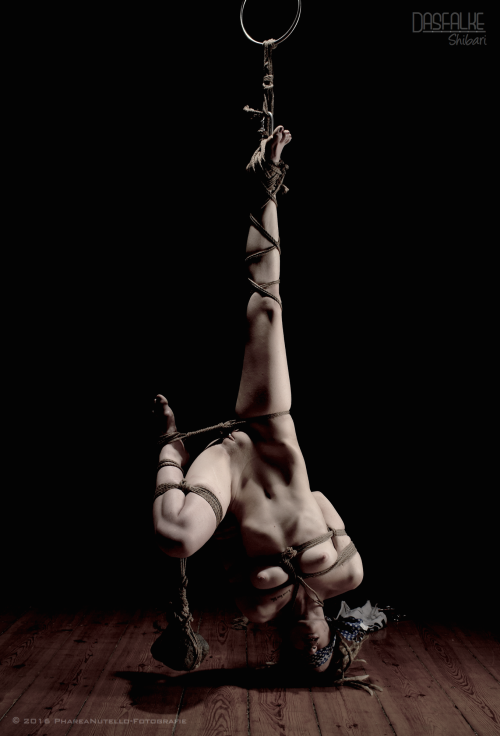dasfalke-shibari: “Virginia and Her Rock - The April Session”   Featured Rope Partner: Virginia Clem