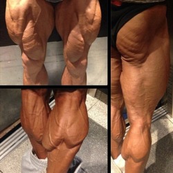 drwannabe:  Damn.  Id?  God damn.