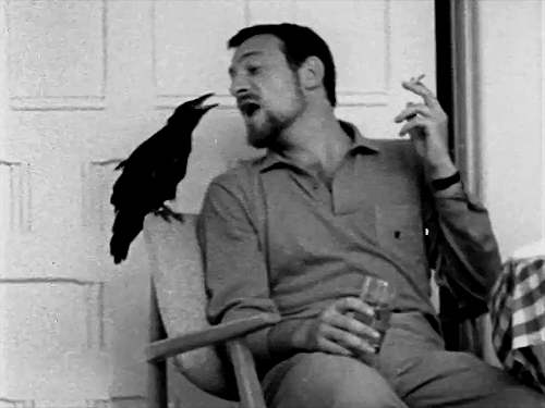charlesdances:Christopher Plummer chilling with a crow (1962) (x)