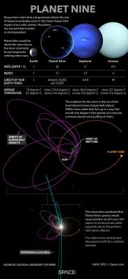 spaceexplorationphotography:  Infographic about Planet 9, the required planet to explain the trajectory of six of the most distand known Kuiper Belt Objects.Source: http://imgur.com/S5faizX